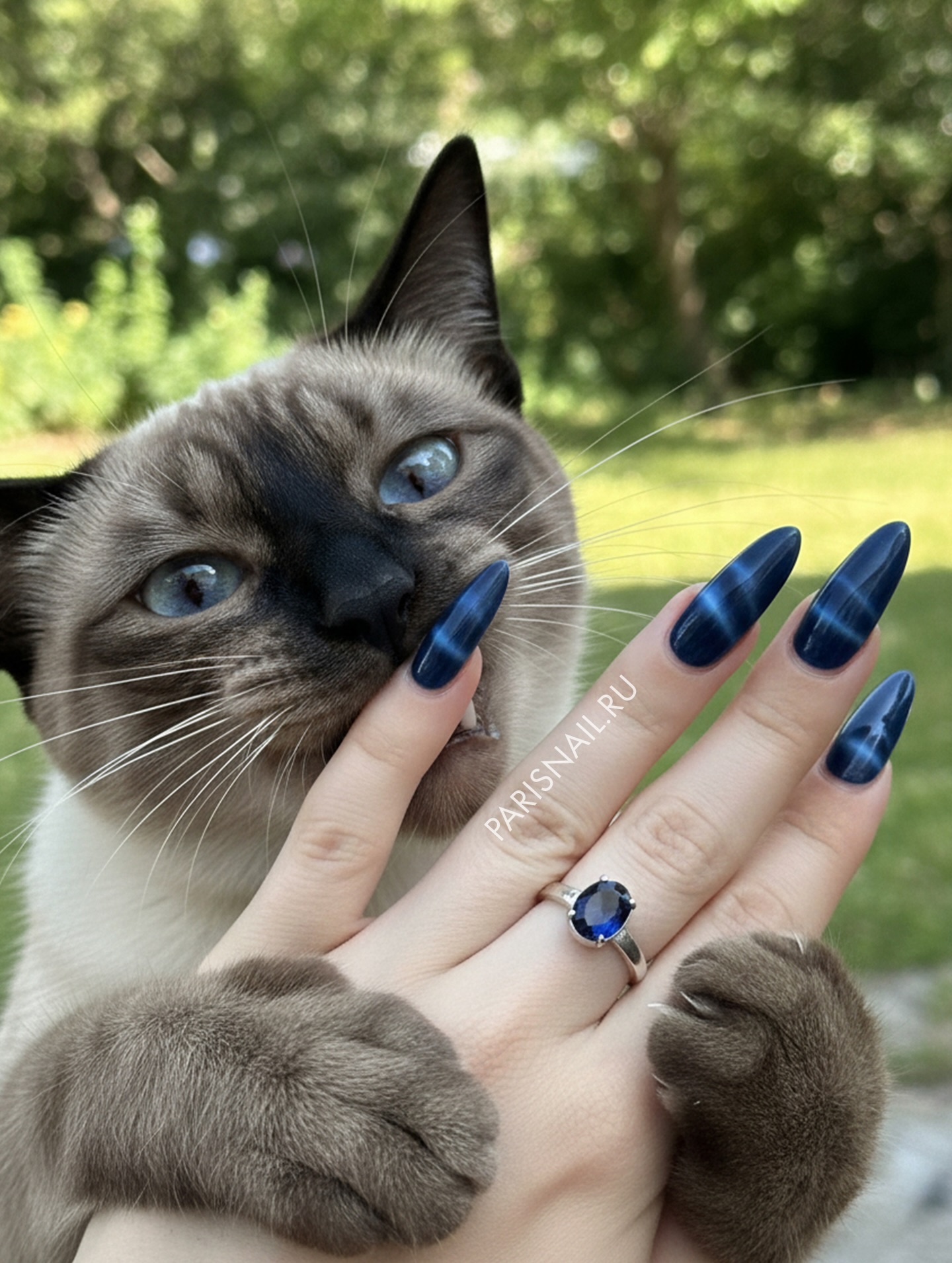 Ciemnoniebieska magnetyczna koronka