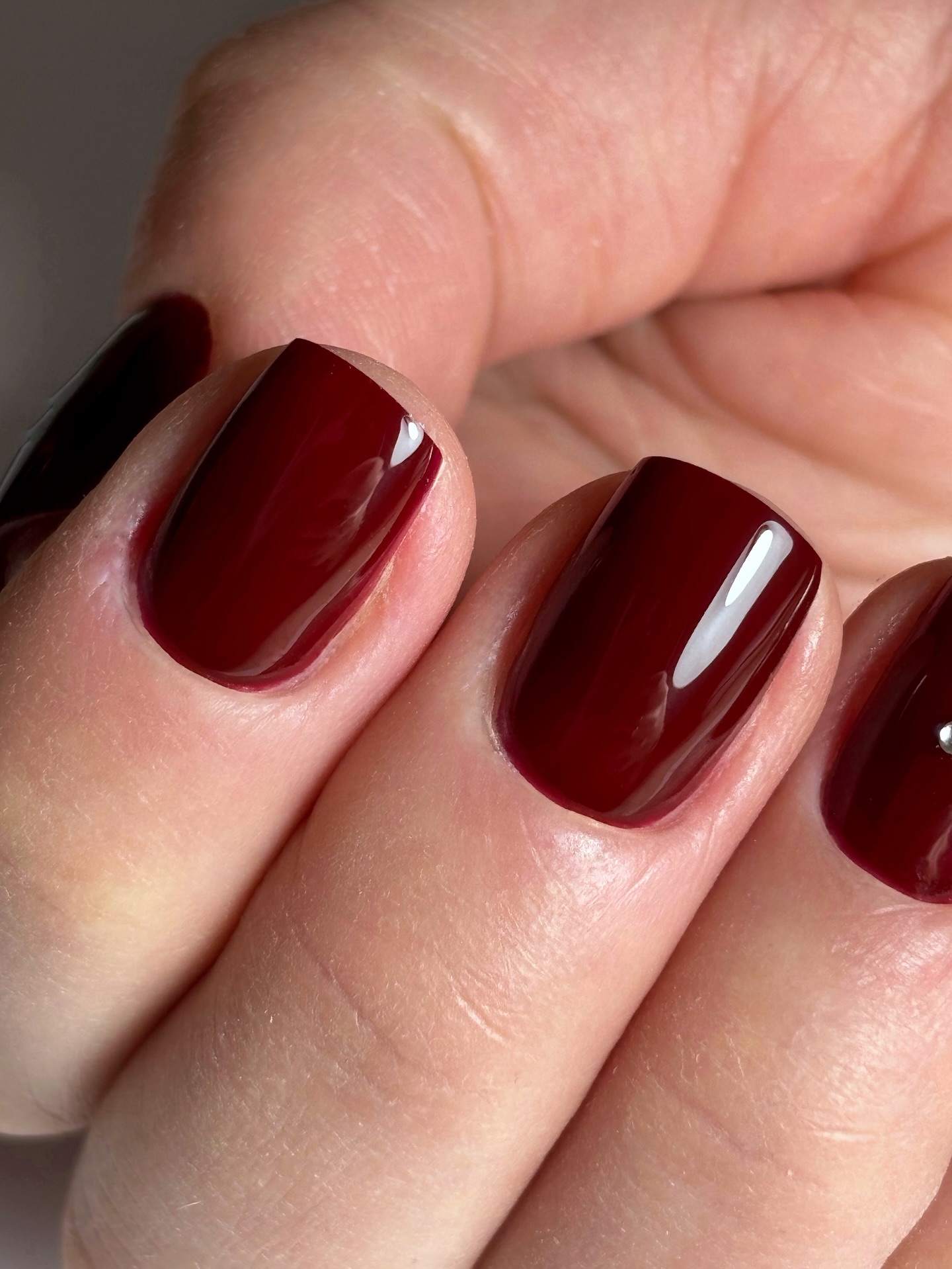 Bordowy szyk dla prawdziwych koneserów