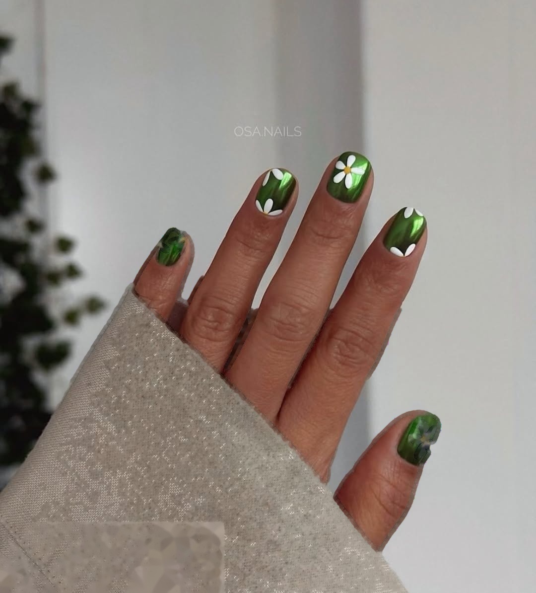 Krótki squoval zielony chrome stokrotki Oxxi
